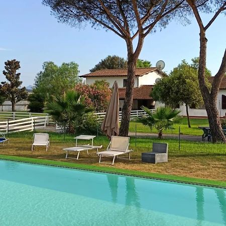 B&B Tenuta Di Vado Piano Nella Selva Di Circe Cerasella Eksteriør billede