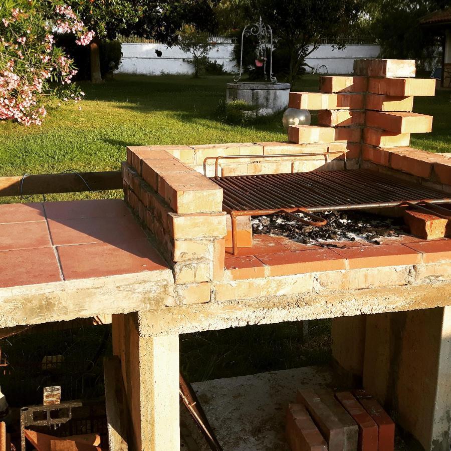 B&B Tenuta Di Vado Piano Nella Selva Di Circe Cerasella Eksteriør billede
