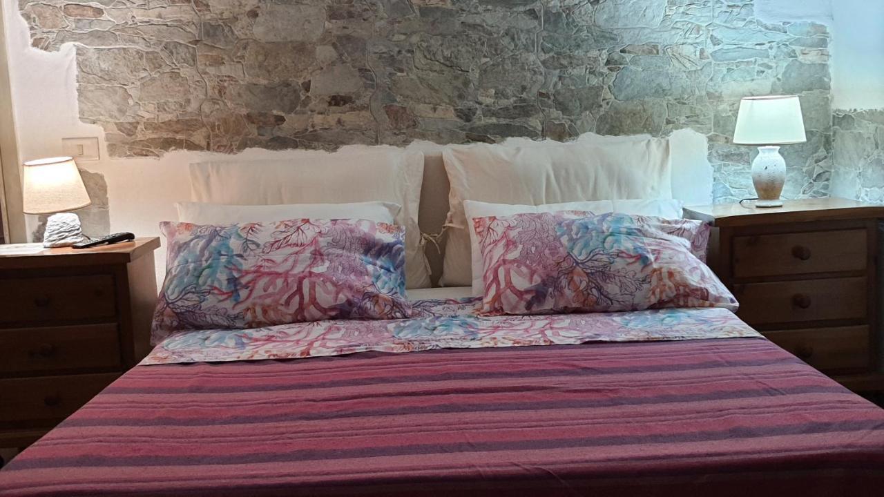 B&B Tenuta Di Vado Piano Nella Selva Di Circe Cerasella Eksteriør billede