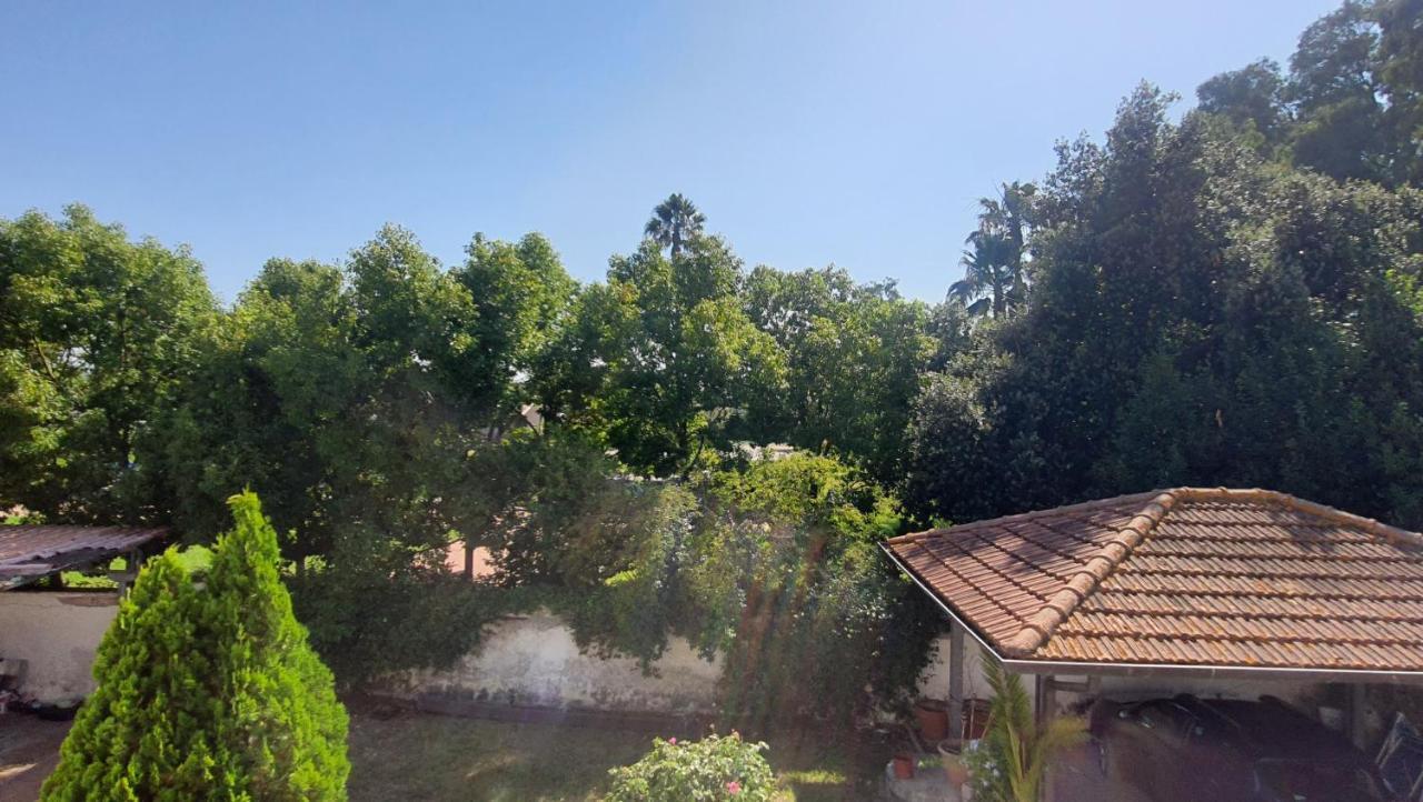 B&B Tenuta Di Vado Piano Nella Selva Di Circe Cerasella Eksteriør billede